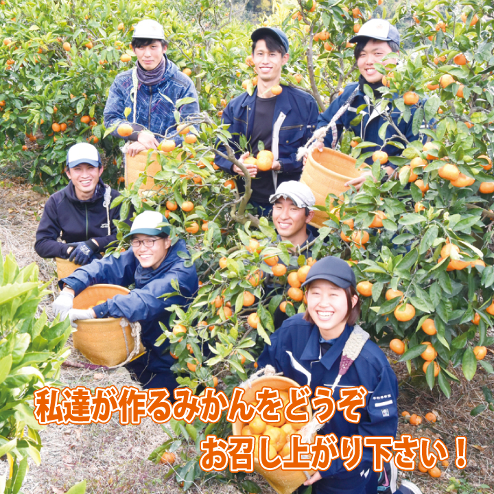 早和果樹園の生産部のみかんをお召し上がり下さい。