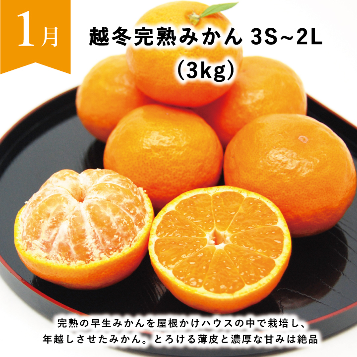 旬のみかん、カンキツをお届けする定期便・頒布会。日本一のみかんの産地和歌山有田からお届け。