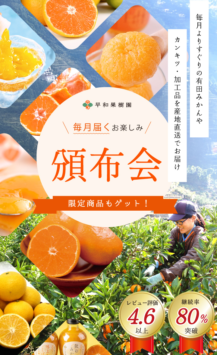 第一画像