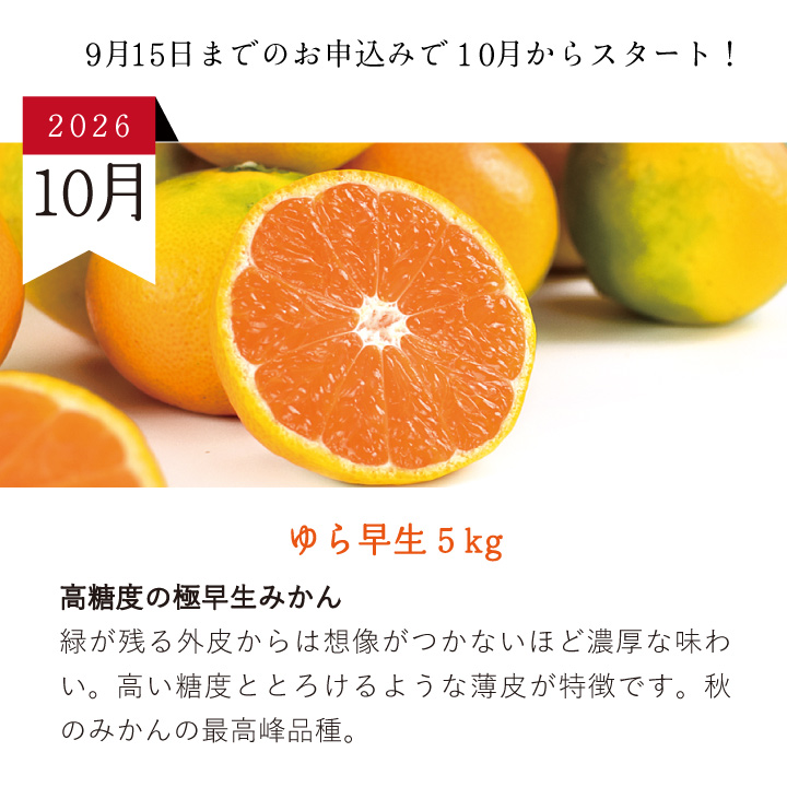 今月のセット内容
