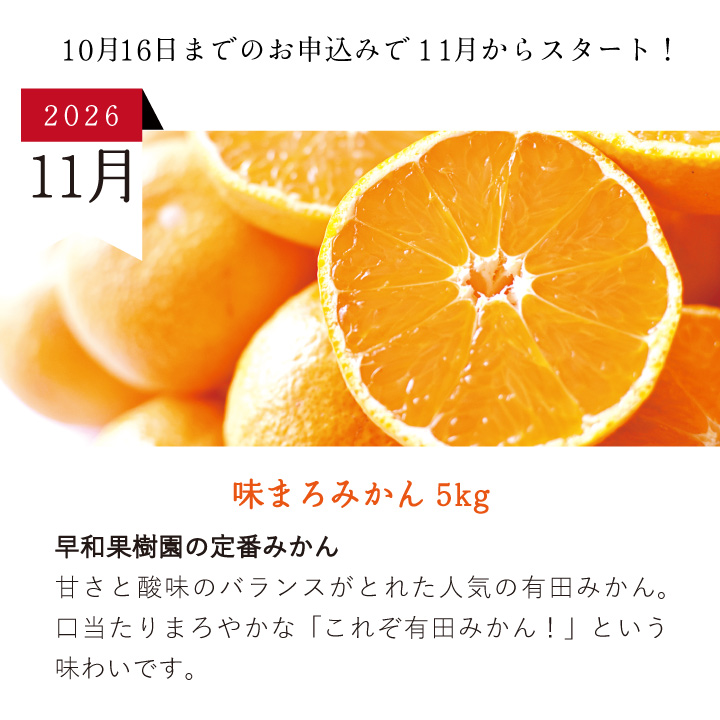 今月のセット内容