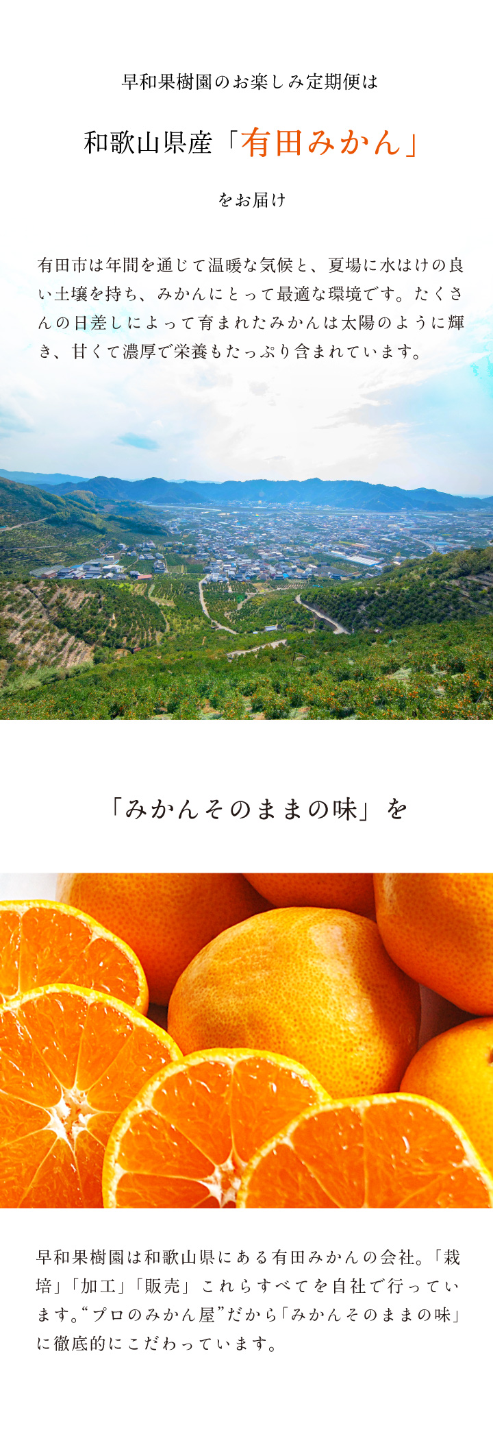 みかん様　確認ページ みかん定期便｜早和果樹園の頒布会『月がわりお楽しみ定期便』