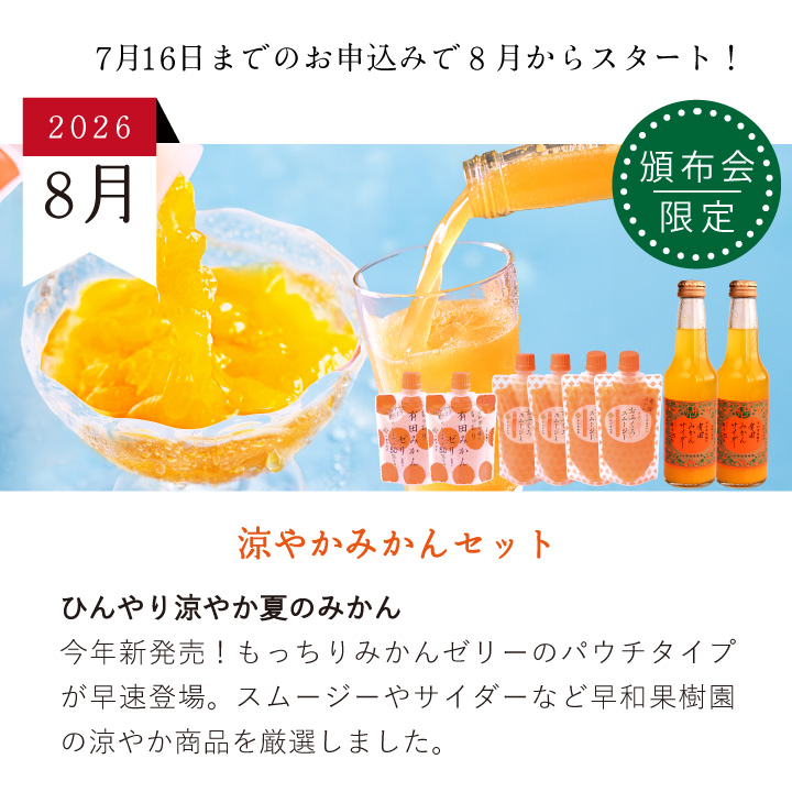 今月のセット内容