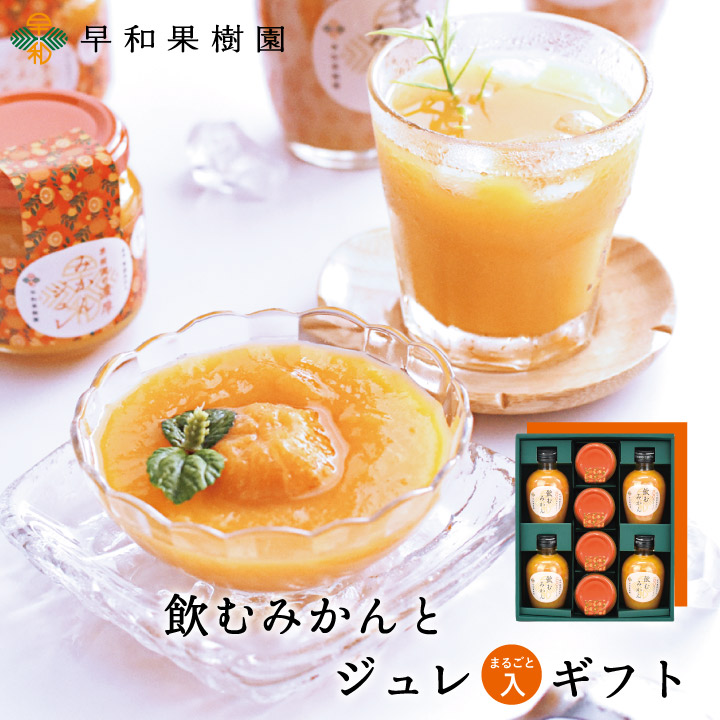 おふくろスムージー有田みかん10本ギフト