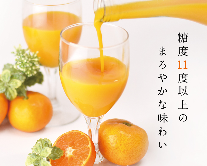 グラスに注がれる柑橘ジュース