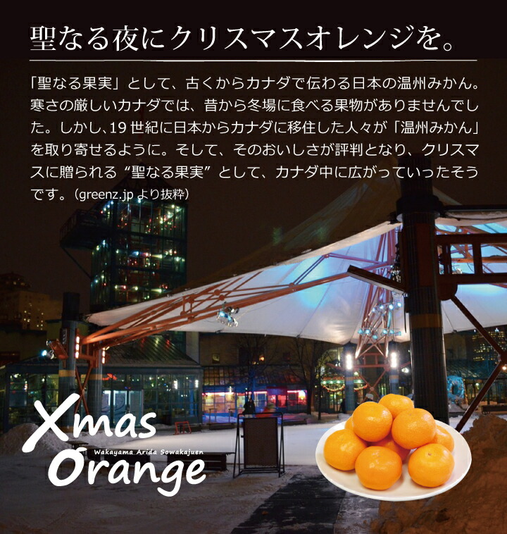クリスマスオレンジ　Xmas Orange