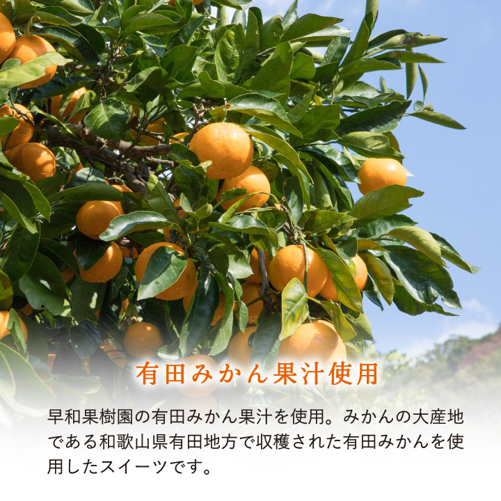 原料は有田みかん