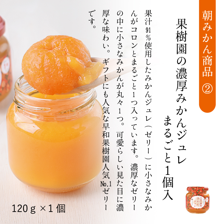 有田みかんギフト