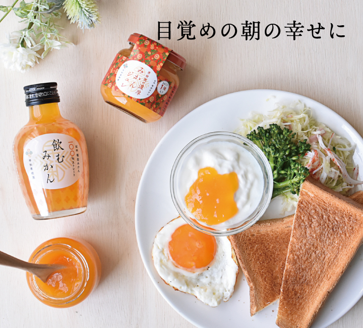 有田みかんギフト