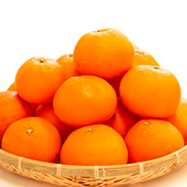 かごに盛られた清見オレンジ