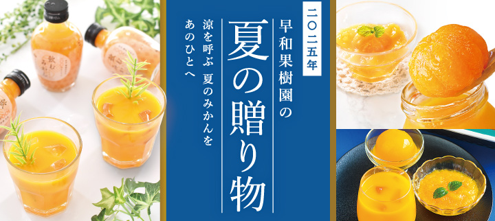 2025年夏の贈り物
