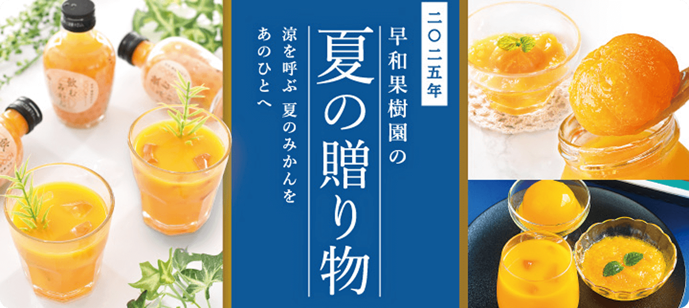 2024年のお中元には有田みかんジュース、ゼリーのギフトを贈りませんか？