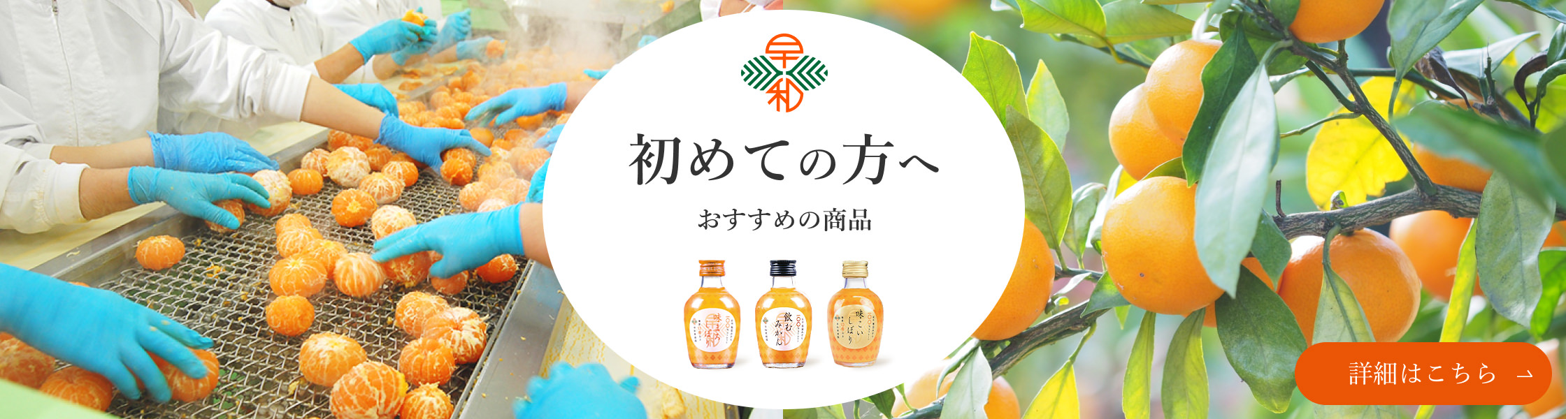 初めての方へ