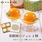 飲むみかん180ml 30本入【送料無料】（R）