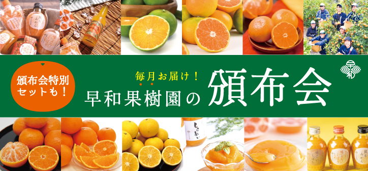 頒布会ページへ