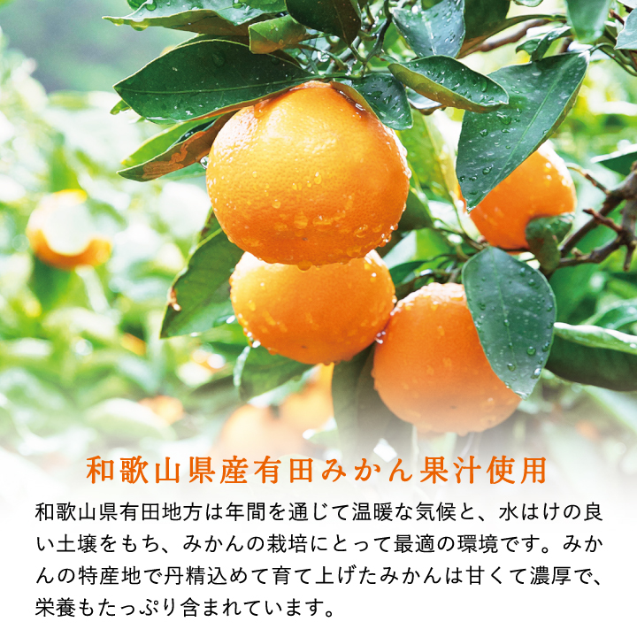 有田みかんサイダー