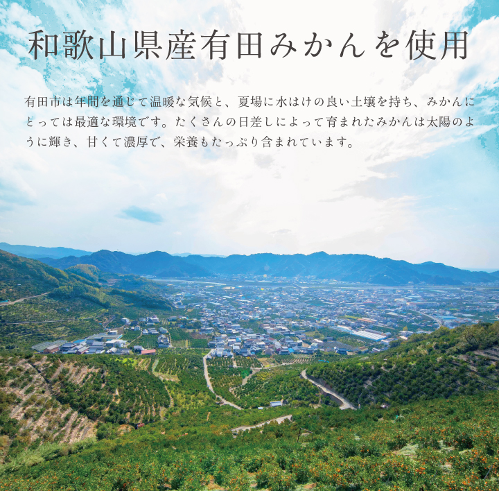 みかんゼリーは和歌山県産有田みかんを使用しています