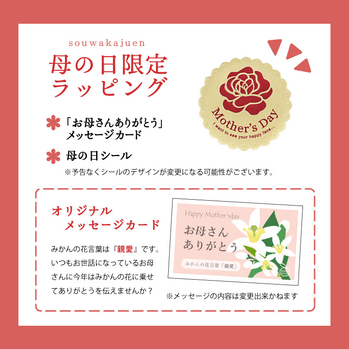 母の日限定ラッピング