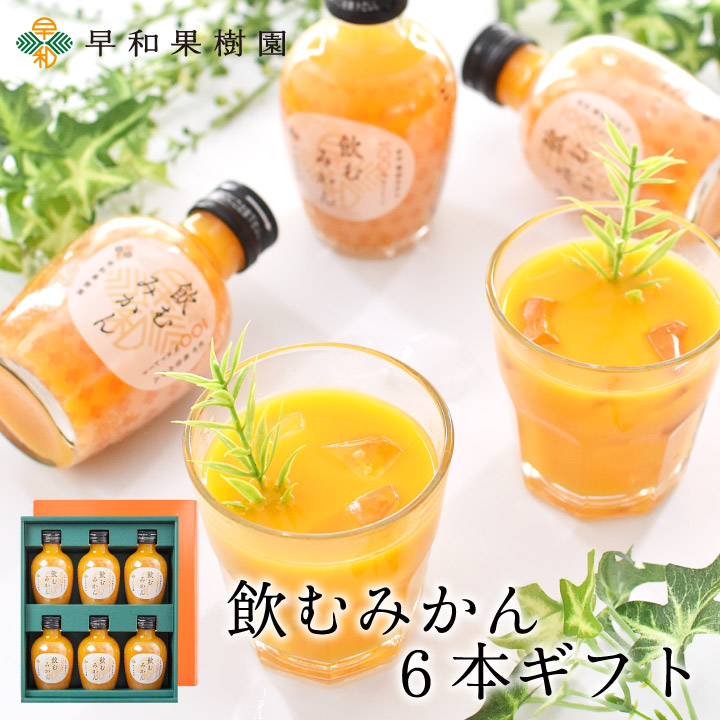 飲むみかん6本ギフト【送料無料】（R）