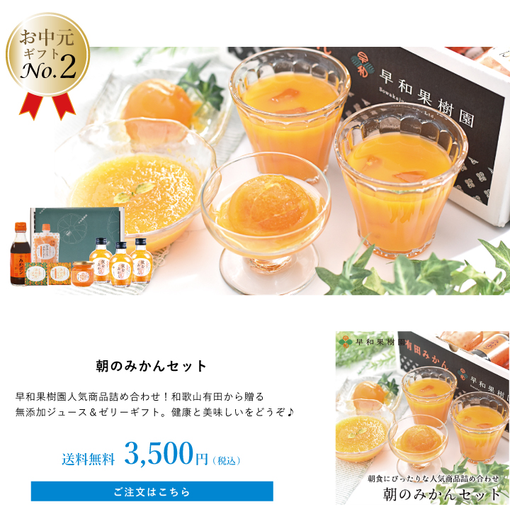 有田みかん100%ジュースのお中元ギフト