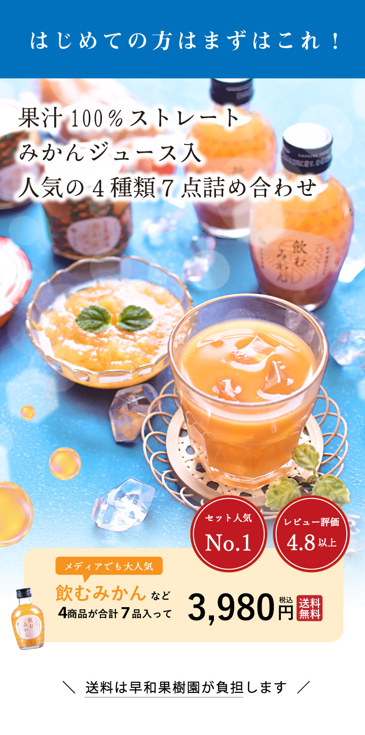 果汁100% ストレートみかんジュースと人気商品の4点セット