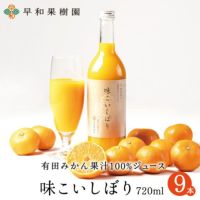 濃いみかんジュース味こいしぼり720mlの9本入り