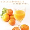 グラスに入った柑橘ジュース