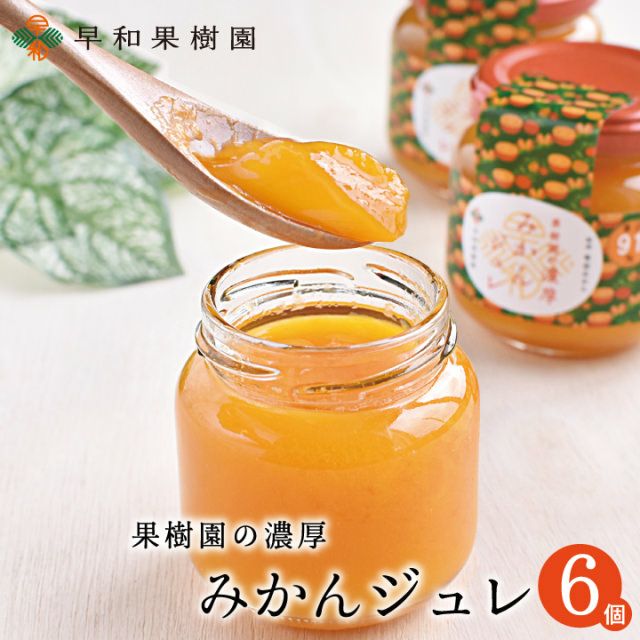 果樹園の濃厚みかんジュレ 6個入 レビュー | 紀州有田みかんの早和果樹園
