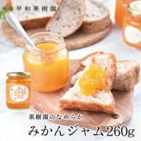 低糖度のみかんジャム260g