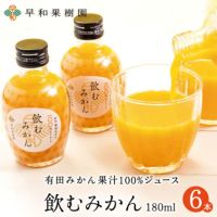 みかんストレートジュース飲むみかん180ml6本入り