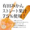 有田みかん果汁を75％使用した高級アイスキャンディ