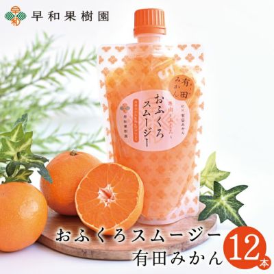 おふくろスムージーみかん　12本入