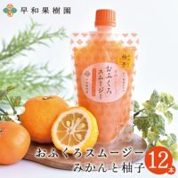 ゆず果汁を使用したゼリー飲料12本入り