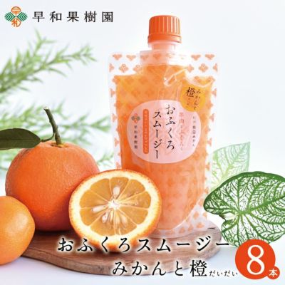 柑橘スムージー8本入り
