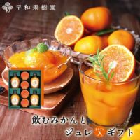 果物まるごとジュレギフトなら飲むみかんとジュレまるごと入ギフト
