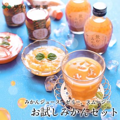 お試しみかんセット【送料無料】
