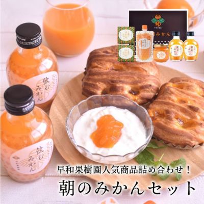 朝のみかんセット【送料無料】