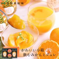 プレゼントにおすすめのジュースならかわいい小箱飲むみかんとジュレ