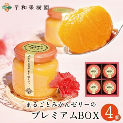 まるごとみかんゼリーのプレミアムBOX　4個入【送料無料】