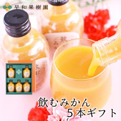 飲むみかん5本ギフト【送料無料】