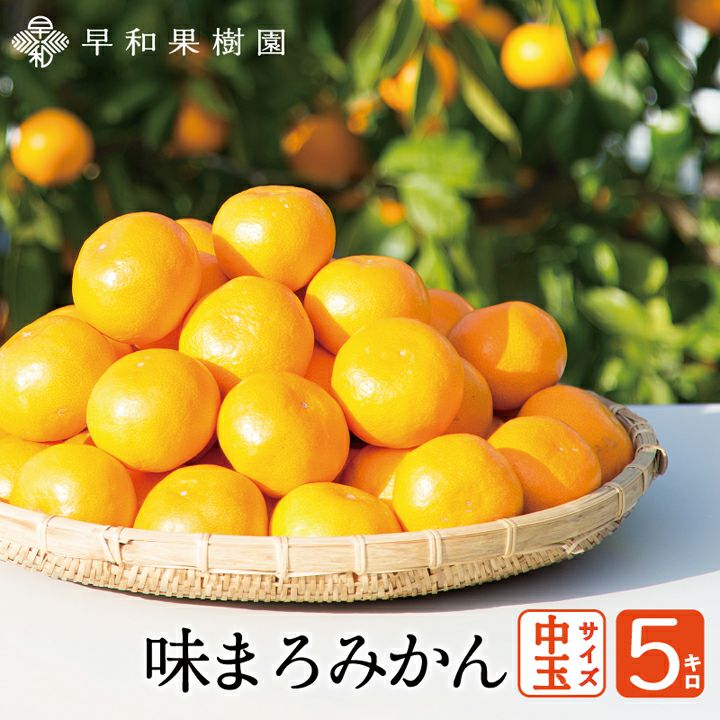 和歌山産 黄金柑 5kg✖️2ケース - 果物