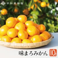 甘いみかんの箱買いなら紀州有田みかんの早和果樹園