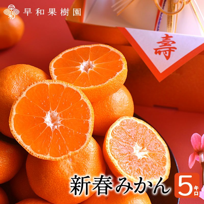 有田みかん５キロ