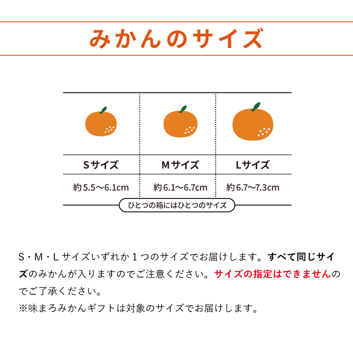 ジューシーでみずみずしい有田みかん