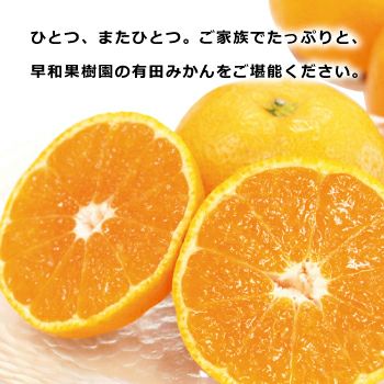 贈答用みかんなら和歌山県有田の早和果樹園から産地直送