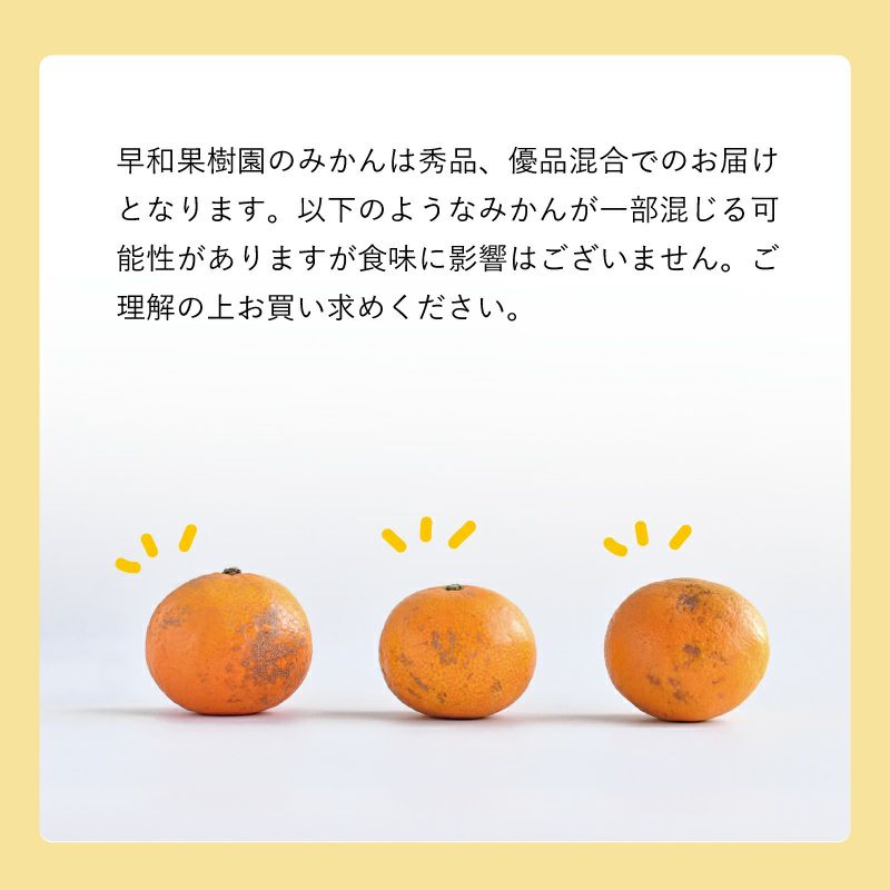 糖度が高い特徴をもつゆら早生みかん3kg｜有田みかんの早和果樹園