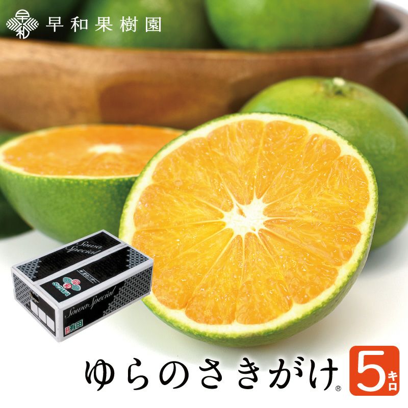 ゆらのさきがけ（YN26）５kg