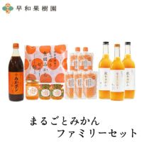 洋菓子詰め合わせギフトならまるごとみかんファミリーセット