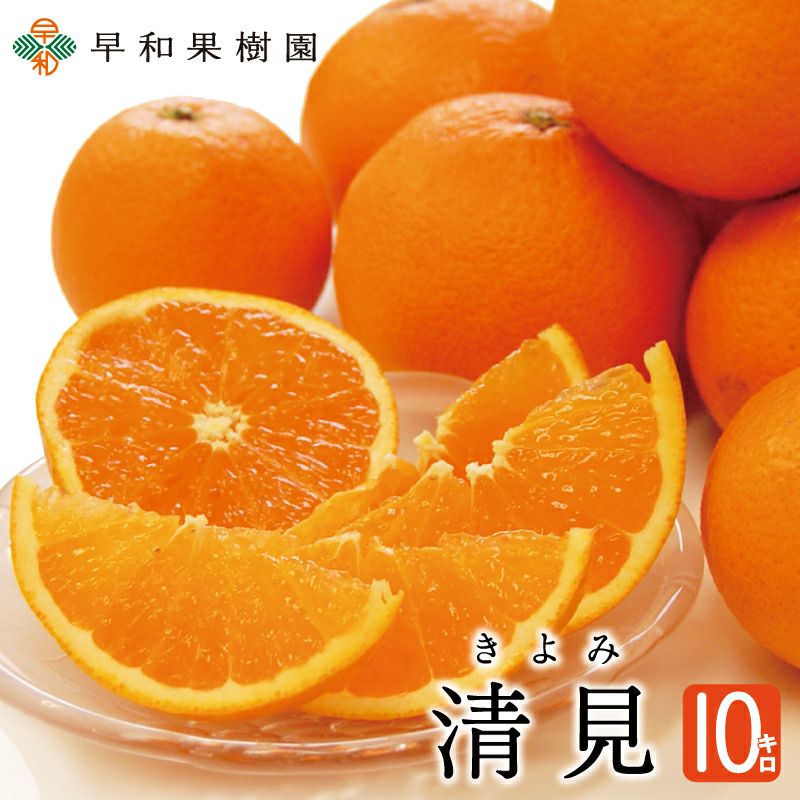 輪切りオレンジ様確認用 引き出し