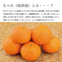 Kaho　南津海 なつみ 家庭用 10kg 楽天市場】かんきつ 南津海の通販